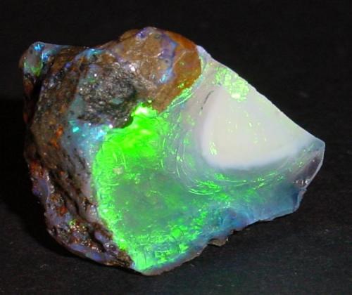 Precious Opal
Stonetree Opal Mine Group, Virgin Valley, Humboldt County, NV, USA
4.0 x 3.5 cm (Author: Chris Wentzell)