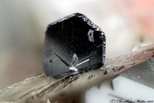 Pyrophanite
Grotta d’Oggi Quarry, San Piero in Campo, Campo nell’Elba, Elba Island, Livorno Province, Tuscany, Italy
1.01 mm tabular Pyrophanite crystal on smoky Quartz (Author: Matteo_Chinellato)