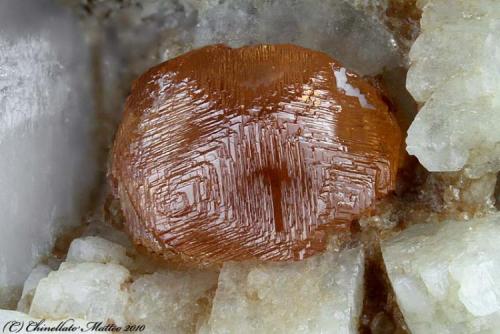 Spessartine
Rosina vein, San Piero in Campo, Campo nell’Elba, Elba Island, Livorno Province, Tuscany, Italy
3.29 mm orange Spessartine crystal (Author: Matteo_Chinellato)