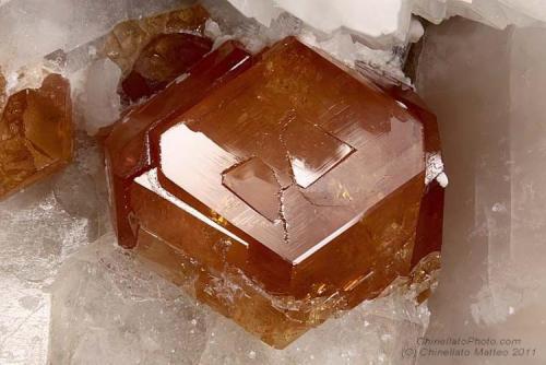 Spessartine
Rosina vein, San Piero in Campo, Campo nell’Elba, Elba Island, Livorno Province, Tuscany, Italy
5.48 mm orange Spessartine crystal (Author: Matteo_Chinellato)