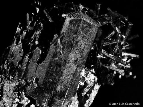 Aegirina. 
Monte Malosa. Malawi. 
7x5 cm. Cristal mayor 4 cm. (Autor: Juan Luis Castanedo)