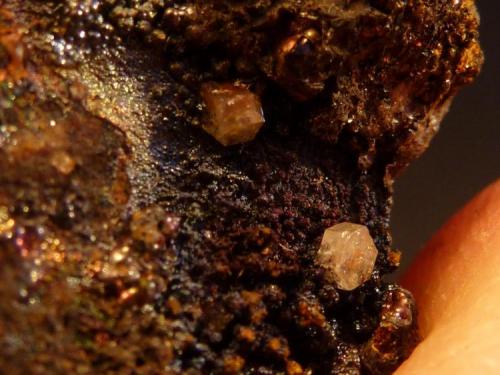 Piromorfita, Goethita<br />El Horcajo Mines, El Horcajo, Almodóvar del Campo, Comarca Campo de Calatrava, Ciudad Real, Castilla-La Mancha, Spain<br />Tamaño milimétrico, fotos en formato macro<br /> (Autor: javier ruiz martin)