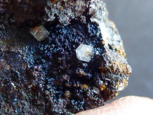 Piromorfita, Goethita<br />El Horcajo Mines, El Horcajo, Almodóvar del Campo, Comarca Campo de Calatrava, Ciudad Real, Castilla-La Mancha, Spain<br />Tamaño milimétrico, fotos en formato macro<br /> (Autor: javier ruiz martin)