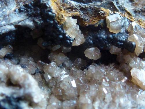 Piromorfita, Goethita<br />El Horcajo Mines, El Horcajo, Almodóvar del Campo, Comarca Campo de Calatrava, Ciudad Real, Castilla-La Mancha, Spain<br />Tamaño milimétrico, fotos en formato macro<br /> (Autor: javier ruiz martin)
