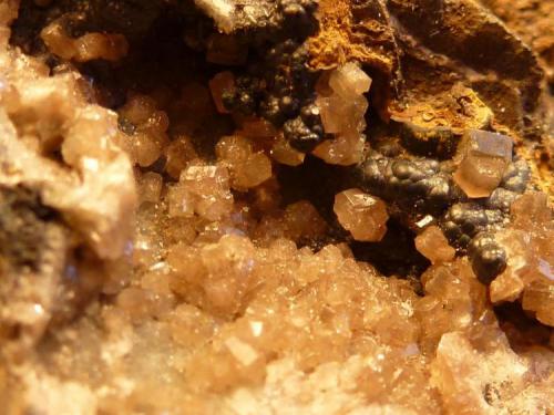 Piromorfita, Goethita<br />El Horcajo Mines, El Horcajo, Almodóvar del Campo, Comarca Campo de Calatrava, Ciudad Real, Castilla-La Mancha, Spain<br />Tamaño milimétrico, fotos en formato macro<br /> (Autor: javier ruiz martin)