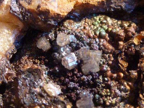 Piromorfita, Goethita<br />El Horcajo Mines, El Horcajo, Almodóvar del Campo, Comarca Campo de Calatrava, Ciudad Real, Castilla-La Mancha, Spain<br />Tamaño milimétrico, fotos en formato macro<br /> (Autor: javier ruiz martin)