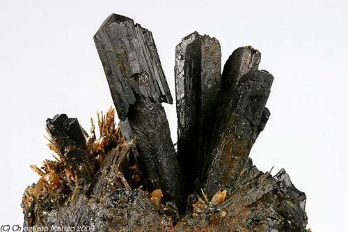 Ilvaite
Rio Mine (Rio Marina Mine), Rio Marina, Elba Island, Livorno Province, Tuscany, Italy
19.18x23.22 mm group of Ilvaite crystals some with " scepter " type (Author: Matteo_Chinellato)