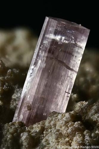 Elbaite
Grotta d’Oggi Quarry, San Piero in Campo, Campo nell’Elba, Elba Island, Livorno Province, Tuscany, Italy
11 mm pink-light Elbaite show pink-dark " ghosts " into (Author: Matteo_Chinellato)