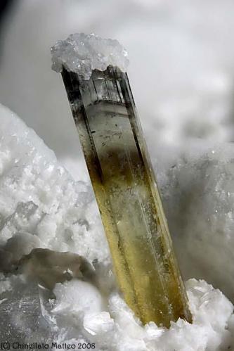 Elbaite
Rosina vein, San Piero in Campo, Campo nell’Elba, Elba Island, Livorno Province, Tuscany, Italy
4.42 mm yellow-brown Elbaite with Albite on termination (Author: Matteo_Chinellato)