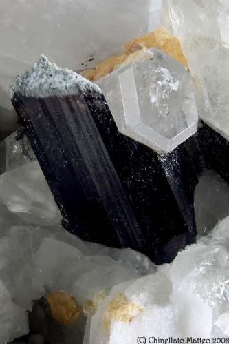 Elbaite-Schorl Series, Beryl
Rosina vein, San Piero in Campo, Campo nell’Elba, Elba Island, Livorno Province, Tuscany, Italy
9.97 mm Elbaite-schorl with a 13.26 mm Beryl penetrating in the Elbaite termination (Author: Matteo_Chinellato)