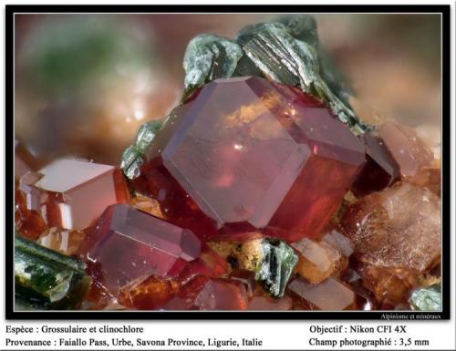 Grossular and clinochlore
Faiallo Pass, Urbe, Savona, Liguria, Italy
fov 3.5 mm (Author: ploum)