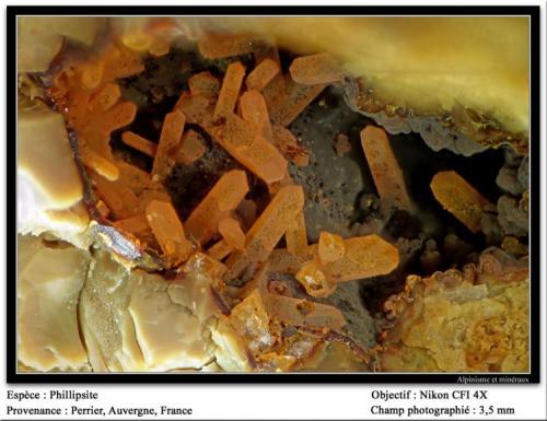 Phillipsite
Perrier, Auvergne, France
FOV 3 mm (Author: ploum)