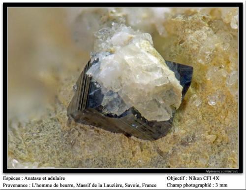 Anatase and adularia
L’Homme de Beurre, La Lauzière massif, Savoie, Rhône-Alpes, France
Fov 3 mm (Author: ploum)