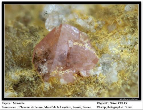 Monazite
L’Homme de Beurre, La Lauzière massif, Savoie, Rhône-Alpes, France
Fov 3 mm (Author: ploum)