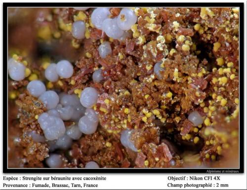 Strengite, cacoxenite and beraunite
Fumade, Castelnau-de-Brassac, Tarn, Midi-Pyrénées, France
fov 2 mm (Author: ploum)