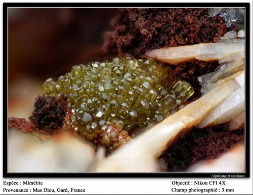 Mimetite
Mas Dieu, Mercoirol, Gard, France
fov 3 mm (Author: ploum)