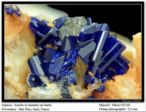 Azurite and mimetite
Mas Dieu, Mercoirol, Gard, France
fov 2.5 mm (Author: ploum)