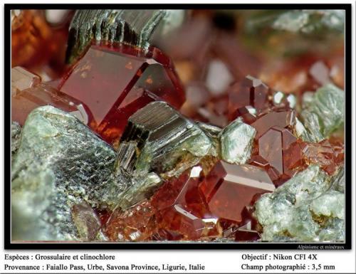 Grossular and clinochlore
Faiallo Pass, Urbe, Savona, Liguria, Italy
FOV 3 mm (Author: ploum)