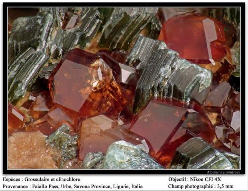 Grossular and clinochlore
Faiallo Pass, Urbe, Savona, Liguria, Italy
FOV 3 mm (Author: ploum)