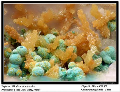 Mimetite and malachite
Mas Dieu, Mercoirol, Gard, France
fov 3 mm (Author: ploum)