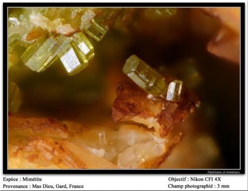 Mimetite
Mas Dieu, Mercoirol, Gard, France
fov 3 mm (Author: ploum)