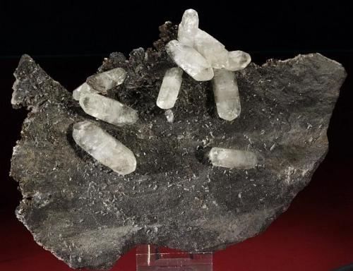 Calcite
Sweetwater Mine, Missouri, USA
200 x 120 x 25 mm (Author: Tobi)