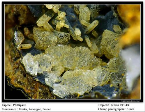 Phillipsite
Perrier, Issoire, Puy-de-Dôme, Auvergne, France
fov 3 mm (Author: ploum)