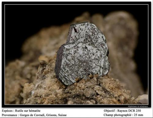 Hematite with Rutile
Cavradi, Grisons, Switzerland
fov 20 mm (Author: ploum)