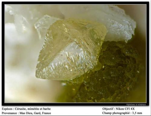 Cerussite on mimetite
Mas Dieu, Mercoirol, Gard, France
fov 3.5 mm (Author: ploum)