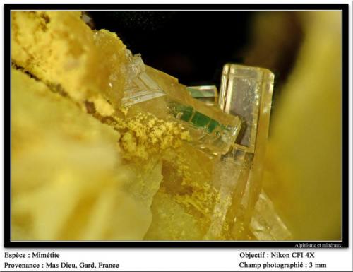 Mimetite
Mas Dieu, Mercoirol, Gard, France
fov 3 mm (Author: ploum)