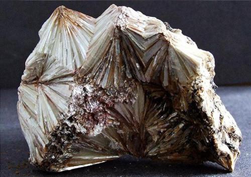 Pyrophyllite
Hilsboro Mine, Orange Co, North Carolina, USA
45 mm across (Author: nurbo)