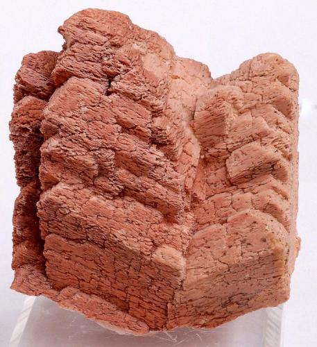 Microclina - Pedrera d’Àrids - Santa Coloma de Farners - La Selva - Girona - Catalunya - España - 7,2 x 6,0 x 5,2 (Autor: Martí Rafel)