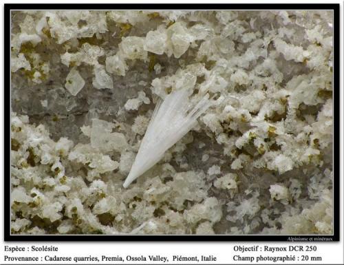 Scolecite
Cadarese Quarries, Premia, Antigorio Valley, Ossola Valley, Piedmont, Italy
fov 20 mm (Author: ploum)