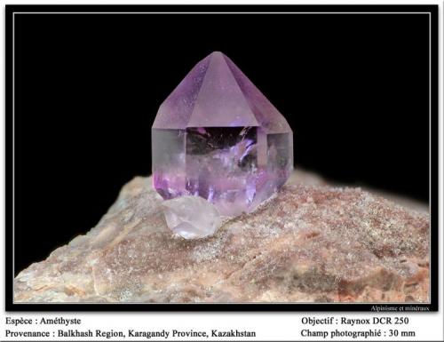 Quartz Amethyst
Balkash Lake, Kazakhstan
fov 30 mm (Author: ploum)