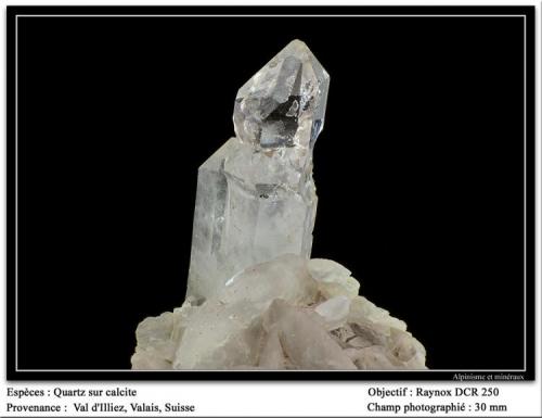 Quartz and calcite
Val d’Illiez, Valais, Switzerland
30 mm (Author: ploum)