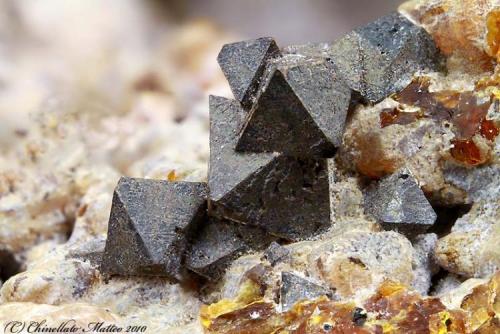 Magnesioferrite
Colle Cimino, Marino, Alban Hills, Rome Province, Latium, Italy
4.37 mm group of Magnesioferrite ochatedrons. Ex Erberto Tealdi collection n.4.2.1.5 (Author: Matteo_Chinellato)
