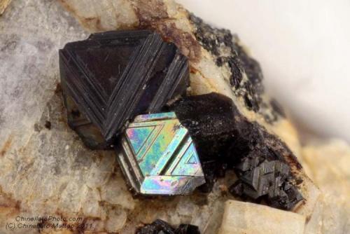 Magnetite
Tre Croci, Vetralla, Vico Lake, Viterbo Province, Latium, Italy
A single ray of light strike a unique Magnetite crystal from the 3.58 mm group (Author: Matteo_Chinellato)
