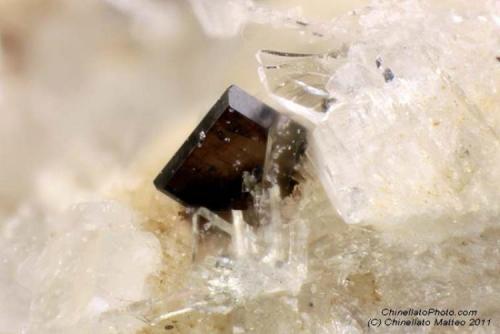 Allanite-(Ce)
Torre di Stracciacappe, Trevignano Romano, Rome Province, Latium, Italy
Tabular brown 0.5 mm Allanite-(Ce) crystal (Author: Matteo_Chinellato)