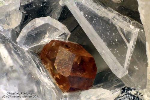 Titanite
Bassano Romano, Viterbo Province, Latium, Italy
0.6 mm orange Titanite crystal (Author: Matteo_Chinellato)