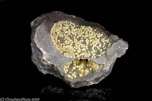 Calcite
Campomorto Quarry, Pietra Massa Locality, Montalto di Castro, Viterbo Province, Latium, Italy
157.72x127.7 mm specimen features numerous botroydal clusters of pale egg yolk yellow Calcite perched in two vugs of the typically matrix (Author: Matteo_Chinellato)