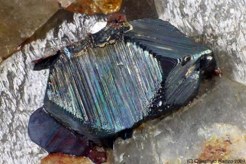 Magnetite
Tre Croci, Vetralla, Vico Lake, Viterbo Province, Latium, Italy
2.35 mm Magntite crystal (Author: Matteo_Chinellato)