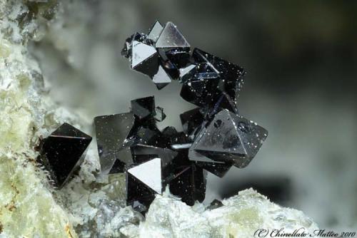 Spinel
San Vito quarry, San Vito, Ercolano, Monte Somma, Somma-Vesuvius Complex, Naples Province, Campania, Italy
1.41 mm group of Spinel crystals (Author: Matteo_Chinellato)