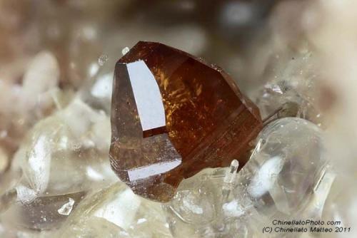 Humite
Monte Somma, Somma-Vesuvius Complex, Naples Province, Campania, Italy
1 mm orange-red Humite crystal (Author: Matteo_Chinellato)