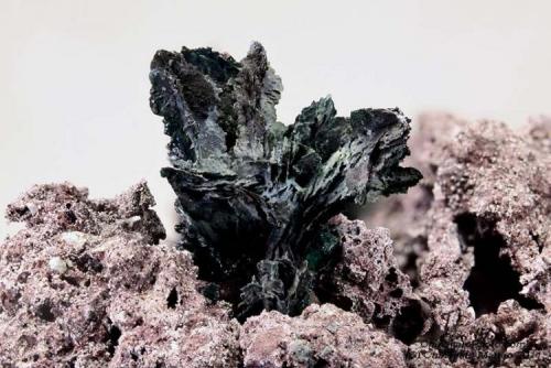 Tenorite
Mt Vesuvius, Somma-Vesuvius Complex, Naples Province, Campania, Italy
7.07 mm Tenorite crystal from 1950 fumarole (Author: Matteo_Chinellato)