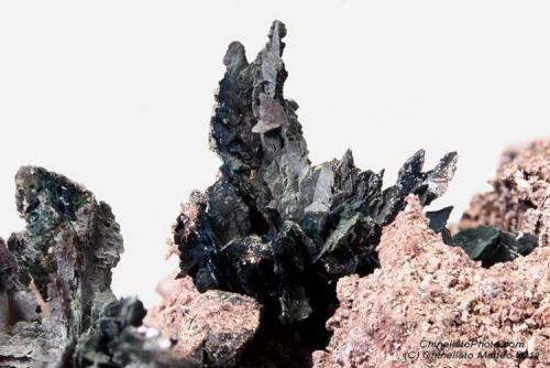 Tenorite
Mt Vesuvius, Somma-Vesuvius Complex, Naples Province, Campania, Italy
5.11 mm Tenorite crystal from 1950 fumarole (Author: Matteo_Chinellato)