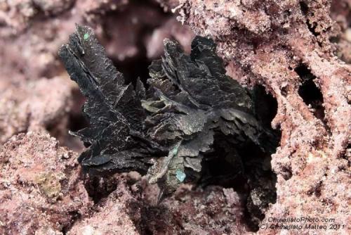 Tenorite
Mt Vesuvius, Somma-Vesuvius Complex, Naples Province, Campania, Italy
7.01 mm Tenorite crystal from 1950 fumarole (Author: Matteo_Chinellato)