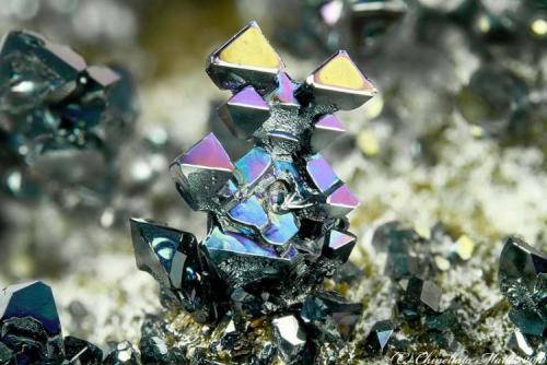 Hematite
Monte Somma, Somma-Vesuvius Complex, Naples Province, Campania, Italy
9.98 mm group of Hematite crystals (Author: Matteo_Chinellato)