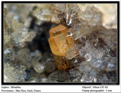 Mimetite,
Mas Dieu, Mercoirol, Gard, France
fov 3 mm (Author: ploum)