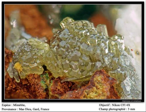 Mimetite,
Mas Dieu, Mercoirol, Gard, France
fov 3 mm (Author: ploum)