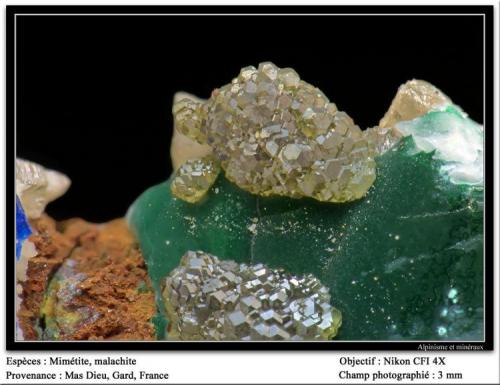 Mimetite,
Mas Dieu, Mercoirol, Gard, France
fov 3 mm (Author: ploum)